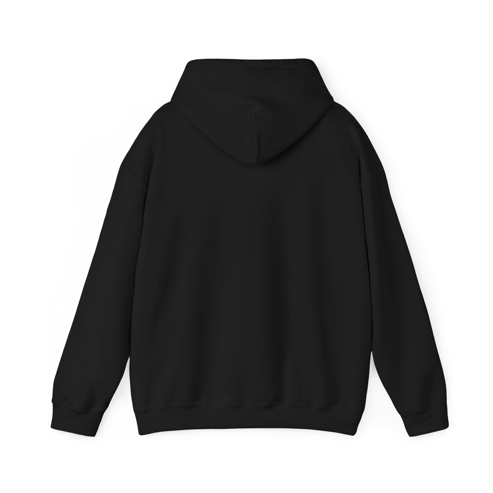 Let's Take a Look Hoodie (PRE-ORDERS)