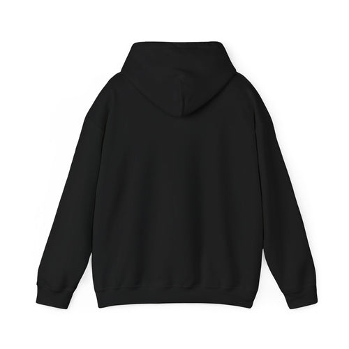 Let's Take a Look Hoodie (PRE-ORDERS)